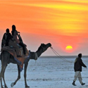 1 Night / 2 Days Rann Utsav, Kutch, Gujarat, India